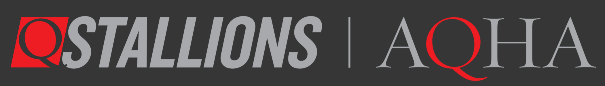 Bet Hesa Cat: Siring NRCHA Futurity Champion & Reserve in One Year